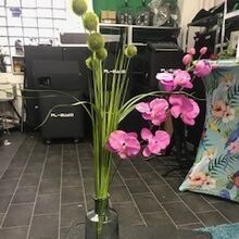 Vase mit Blume