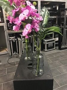 Vase mit Blume